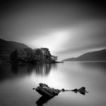 damian shields