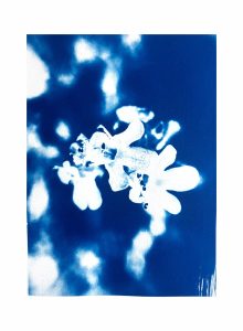 Eleanor-Buffam_Thyme-Flowers